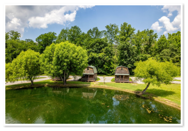 our fishing pond and two of our cabins